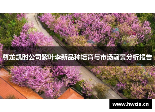 尊龙凯时公司紫叶李新品种培育与市场前景分析报告