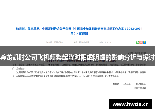 尊龙凯时公司飞机频繁起降对阳虚阴虚的影响分析与探讨