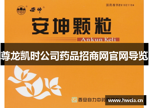 尊龙凯时公司药品招商网官网导览