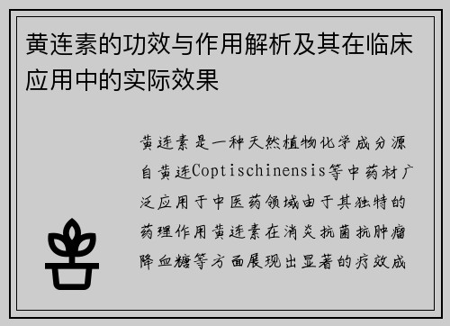 黄连素的功效与作用解析及其在临床应用中的实际效果