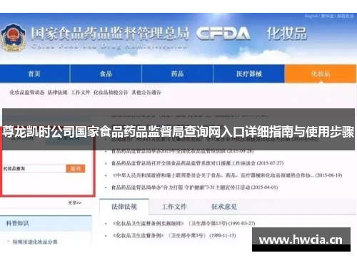 尊龙凯时公司国家食品药品监督局查询网入口详细指南与使用步骤