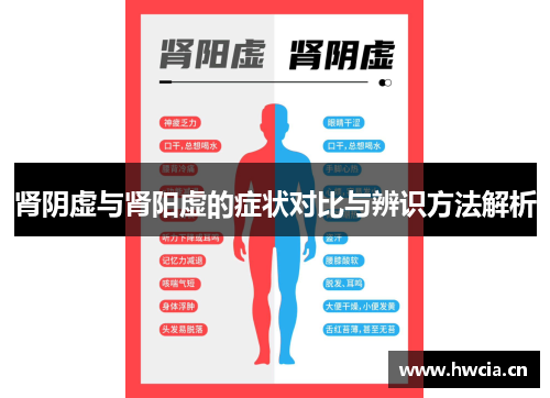 肾阴虚与肾阳虚的症状对比与辨识方法解析